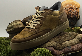 Немецкий обувной бренд представил кроссовки из грибов