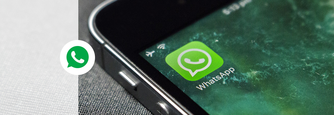 Создание бота для WhatsApp