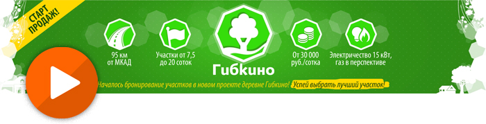 Создание flash баннера "Старт продаж Гибкино"