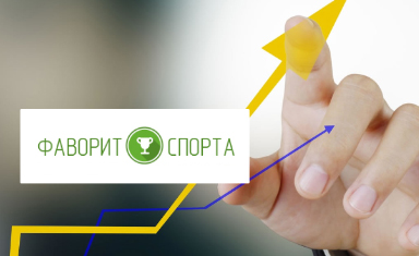 Поисковое продвижение интернет-магазина "Фаворит Спорта". Поисковое продвижение сайта. Фаворит спорта (www.favoritsporta.ru).