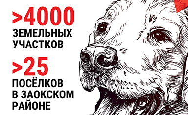Имиджевый roll up для выставки собак. Дизайн другой полиграфии. Ваша дача (www.v-dacha.ru).