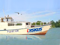 Рекламный баннер компании Diskus&#174; "Охоться с нами!!!".