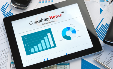 Медиапланирование. Ведение рекламы в интернет. Реклама в интернет. Consulting House (www.consulting-house.ru).