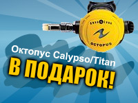 Рекламный баннер компании Diskus&#174; "Подарок".