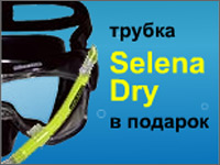 Рекламный баннер компании Diskus<sup>®</sup> "Трубка в подарок".. Дизайн баннера. Diskus (www.diskus.ru).