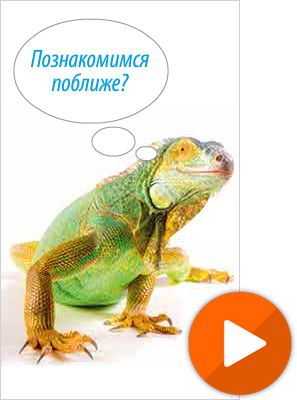 Дизайн flash баннера