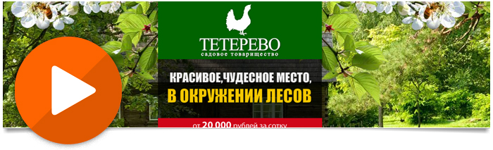 Создание flash баннера "Тетерево"