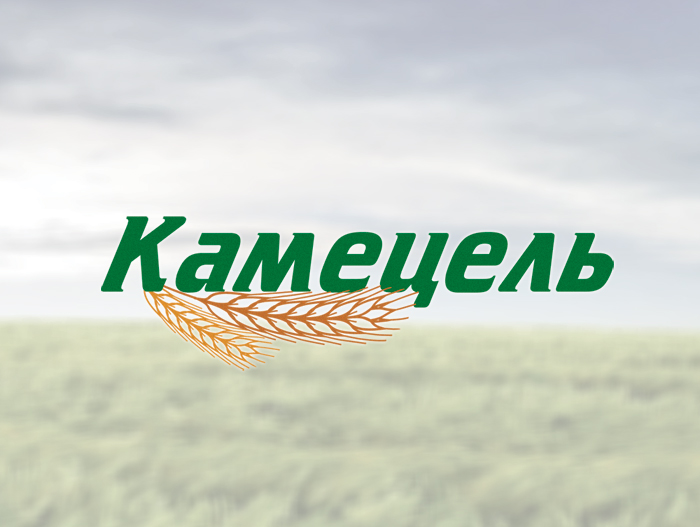 Разработка логотипа для пищевой добавки "Камецель"