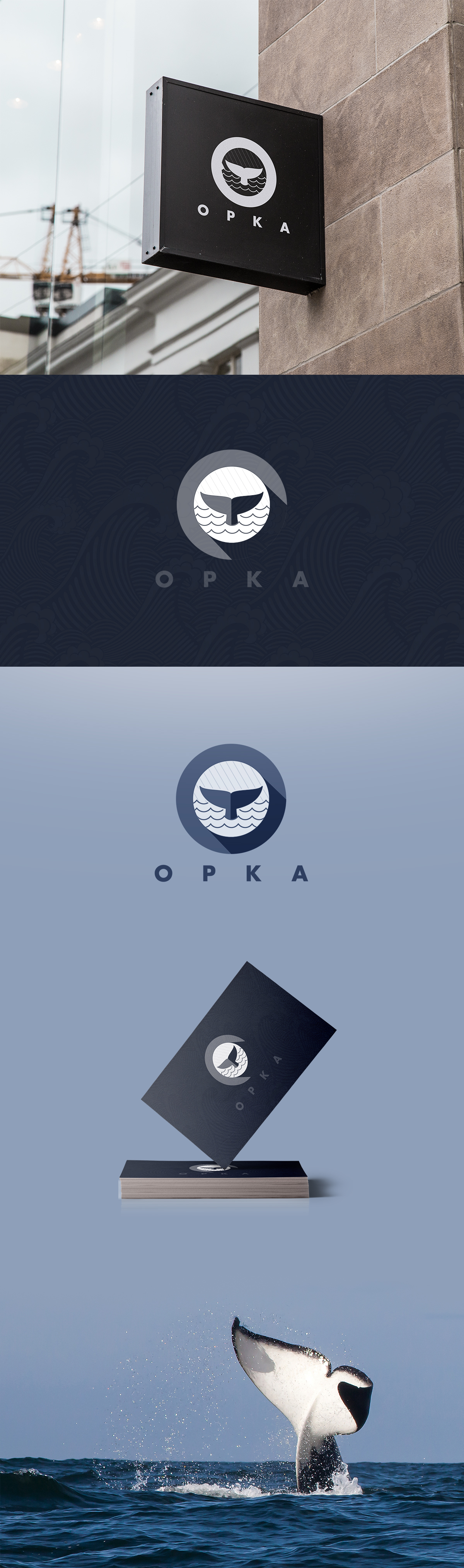 Разработка логотипа