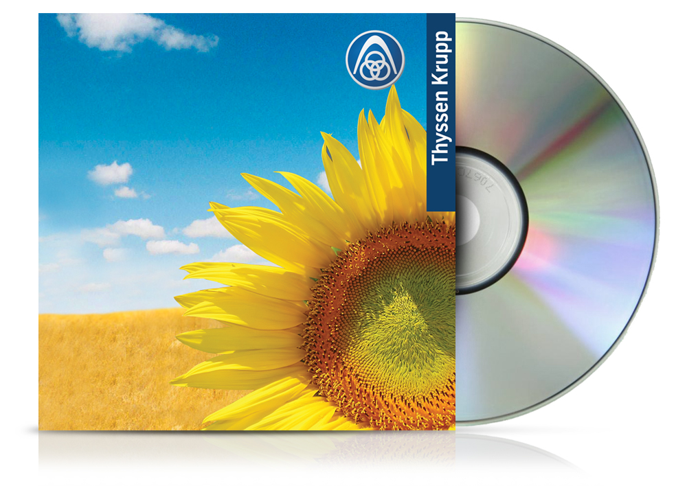 Разработка CD-макетов.