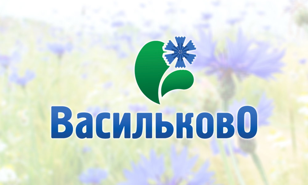 Разработка логотипа для Эко-города "Васильково"
